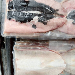 批發零售 虱目魚初級加工產品