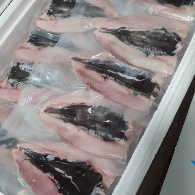 LINE_ALBUM_蛤蜊，魚肚，魚苗_260505_9