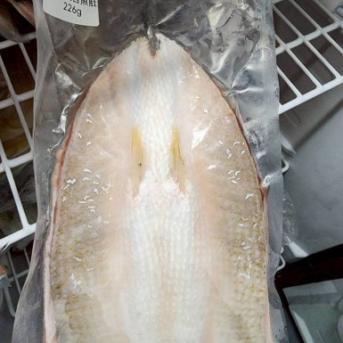 LINE_ALBUM_蛤蜊，魚肚，魚苗_260505_5