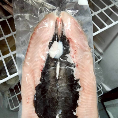 LINE_ALBUM_蛤蜊，魚肚，魚苗_260505_4