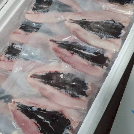 批發零售 虱目魚初級加工產品